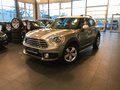 MINI COUNTRYMAN Cooper ALL4 NAVI RFK LEDER ALU - photo 1