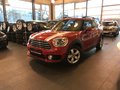 MINI Cooper Countryman ALL4 NAVI RFK - photo 1
