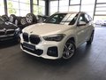 BMW X1xDrive20d M Sport Head-Up NAVIPlus Facelift AHK RTTI DAB - фото 1