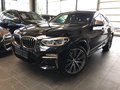 BMW X4 M40d NaviProf HUD ALU 21 Panorama DAB LED PDC AHK Keyless AppleCarPlay - bilder 1