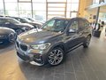 BMW X1xDrive 20i M Sport/RFK/NaviPlus/Head-Up/Panorama/Lichtpaket/LMR19/ActiveGuard - фото 1