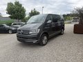 Daumennagel 1 - Volkswagen T6 Multivan  Comfortline 2XEL SCHIEBETÜR STDHZG