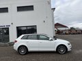 Daumennagel 4 - Audi A3 2.0 TFSI S-Line*PANO*LEDER*TEMPOMAT