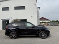 Daumennagel 4 - BMW X5 M50 d*21 ZOLL*HUD*PANO*H&K