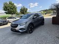 Daumennagel 1 - Opel Grandland X 1.2 Turbo Innovation*TÜV NEU
