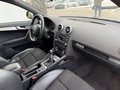 Daumennagel 9 - Audi A3 Sportb 2.0 TDI 3xS line Sportpak plus quattro