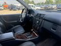 Daumennagel 6 - Mercedes-Benz ML 500*LEDER*BI XENON*NAVI