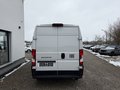 Daumennagel 6 - Fiat Ducato 35 L3H2 140 Multijet Hochdach FACELIFT