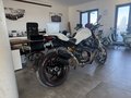 Daumennagel 3 - Ducati 1200 S*PINK MONSTER *SCHECKHEFT*2.HAND*