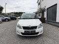 Daumennagel 2 - Skoda Fabia 1.2 TDI Combi Greenline*NAVI*KLIMAUTO*TÜV NEU