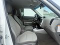 Daumennagel 7 - Kia Soul EV Play Navi Kamera*TÜV NEU*