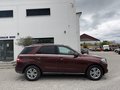 Daumennagel 4 - Mercedes-Benz ML 350 CDI BlueTec*1.HAND*AHK*LEDER