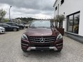 Daumennagel 2 - Mercedes-Benz ML 350 CDI BlueTec*1.HAND*AHK*LEDER