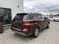 Daumennagel 5 - Mercedes-Benz ML 350 CDI BlueTec*1.HAND*AHK*LEDER