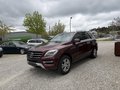 Daumennagel 1 - Mercedes-Benz ML 350 CDI BlueTec*1.HAND*AHK*LEDER