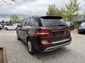 Daumennagel 7 - Mercedes-Benz ML 350 CDI BlueTec*1.HAND*AHK*LEDER