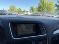 Daumennagel 12 - Audi Q5 3.0 TDI 190 kW quattro S-Line*