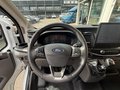 Ford Transit Kasten 310 L3H2 Trend/ACC/360"Kamera/Key-Free - bilder 4