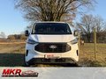 Daumennagel 2 - Ford Transit Custom Kasten V710 320 L2 Trend FWD DAB