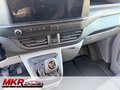 Daumennagel 13 - Ford Transit Custom Kasten V710 320 L2 Trend FWD DAB