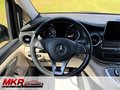 Daumennagel 34 - Mercedes-Benz V 300 Lang Marco Polo Aufstelldach Markise AMG