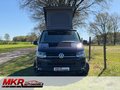 Daumennagel 2 - Volkswagen T6 Lang Camper WoMo Caravan Aufstelldach Klima Küche AHK