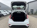 Daumennagel 5 - Ford Fiesta Titanium Automatik/PDC/Navi/Tempomat