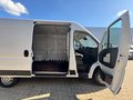 Daumennagel 6 - Fiat Ducato 140 L2H2 Kamera/Standheizung/AHK