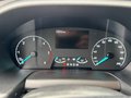 Daumennagel 14 - Ford Transit Kasten L3H2 Trend/Navi/Kamera/AHK/ACC