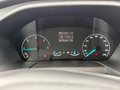 Daumennagel 12 - Ford Transit Custom 300 L2H2 Trend/AHK/Standheizung