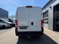 Daumennagel 4 - Peugeot Boxer Kasten Hochraum L2H2 Premium/Kamera/AHK