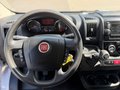 Daumennagel 11 - Fiat Ducato Kasten 130 L2H1 Kamera/Standheizung/AHK