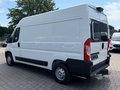 Daumennagel 3 - Peugeot Boxer Kasten 333 L2H2 /Kamera/Standheizung/PDC