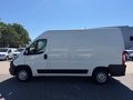 Daumennagel 2 - Peugeot Boxer Kasten Hochraum L2H2 Premium/Kamera/Spur