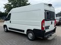 Daumennagel 3 - Peugeot Boxer Kasten Hochraum 333 L2H2 Premium/Kamera+