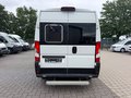 Daumennagel 4 - Peugeot Boxer Kasten Hochraum 333 L2H2 Premium/Kamera+