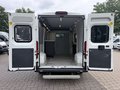 Daumennagel 5 - Peugeot Boxer Kasten Hochraum 333 L2H2 Premium/Kamera+