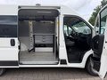 Daumennagel 9 - Peugeot Boxer Kasten Hochraum 333 L2H2 Premium/Kamera+