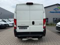 Daumennagel 4 - Peugeot Boxer Kasten 333 L2H2 Premium/AHK/Kamera/Fenster