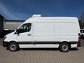 Daumennagel 2 - Mercedes-Benz Sprinter II Kasten 316 CDI Kühler/Kamera/Navi