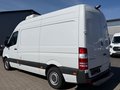 Daumennagel 3 - Mercedes-Benz Sprinter II Kasten 316 CDI Kühler/Kamera/Navi