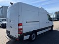 Daumennagel 6 - Mercedes-Benz Sprinter II Kasten 316 CDI Kühler/Kamera/Navi
