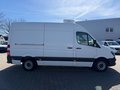Daumennagel 7 - Mercedes-Benz Sprinter II Kasten 316 CDI Kühler/Kamera/Navi