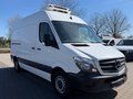 Daumennagel 8 - Mercedes-Benz Sprinter II Kasten 316 CDI Kühler/Kamera/Navi