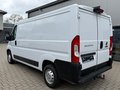 Daumennagel 3 - Fiat Ducato Kasten 130 L2H1 Kamera/Standheizung/AHK