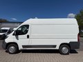 Daumennagel 2 - Citroën Jumper 33 L2H2 Gka Profi/AHK/PDC/Standheizung