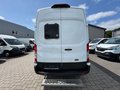 Daumennagel 3 - Ford Transit Kasten 350 L2H3/Fenster/Webasto/Kamera+