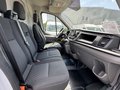 Daumennagel 8 - Ford Transit Kasten 350 L2H3/Fenster/Webasto/Kamera+