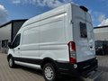 Daumennagel 3 - Ford Transit Kasten 350 L2H3/Fenster/Webasto/Kamera+