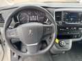 Daumennagel 11 - Peugeot Expert Kasten Premium L2/Head-Up/Tot-Winkel/PDC